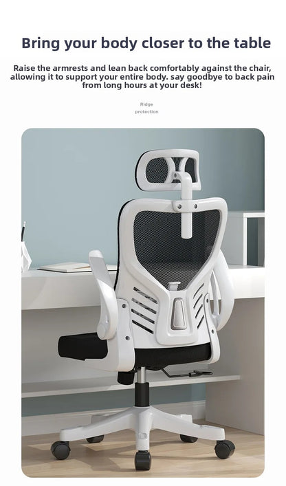 Office chairComputer  Office  Ergonomic  Office Sedentary Learning  Mahjong  Conference  Dormitory