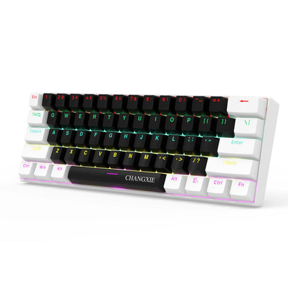 60% Compact Wired Mechanical Keyboard 61 Keys RGB Backlight Red Switch Ergonomic Small Portable for Office Computer Windows Tablet