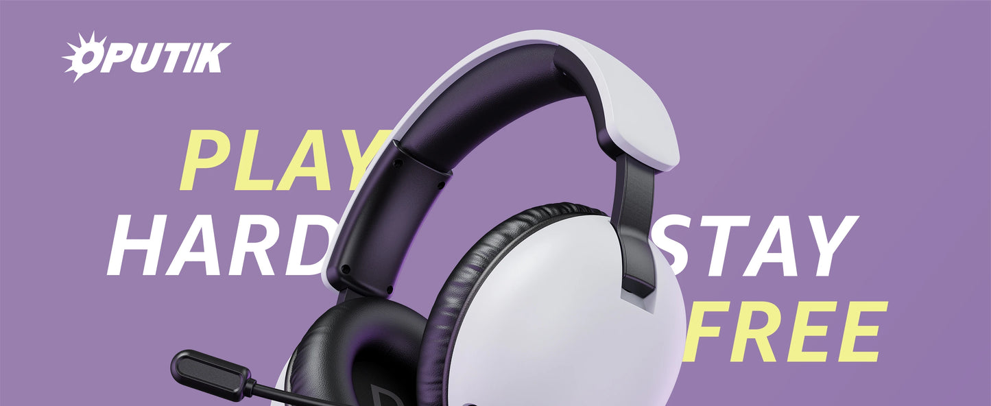 Acinaci BL500 kabelloses Gaming-Headset 2.4G Bluetooth 5.3 & kabelgebunden – Noise-Cancelling-Mikrofon, 30H Akku, 50mm-Treiber für PC, PS5, PS4