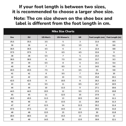 Nike Dunk SB Unisex Skate Shoes Comfort Cushioned Lightweight Durable Sneakers for Casual Streetwear Sports HF3063-001