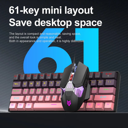 APAYADO K61 Mini Mechanical Keyboard, Wired, 61 Keys, Phantom RGB, Black/White Red/Blue Mechanical Switch for Gaming, 60% Portable