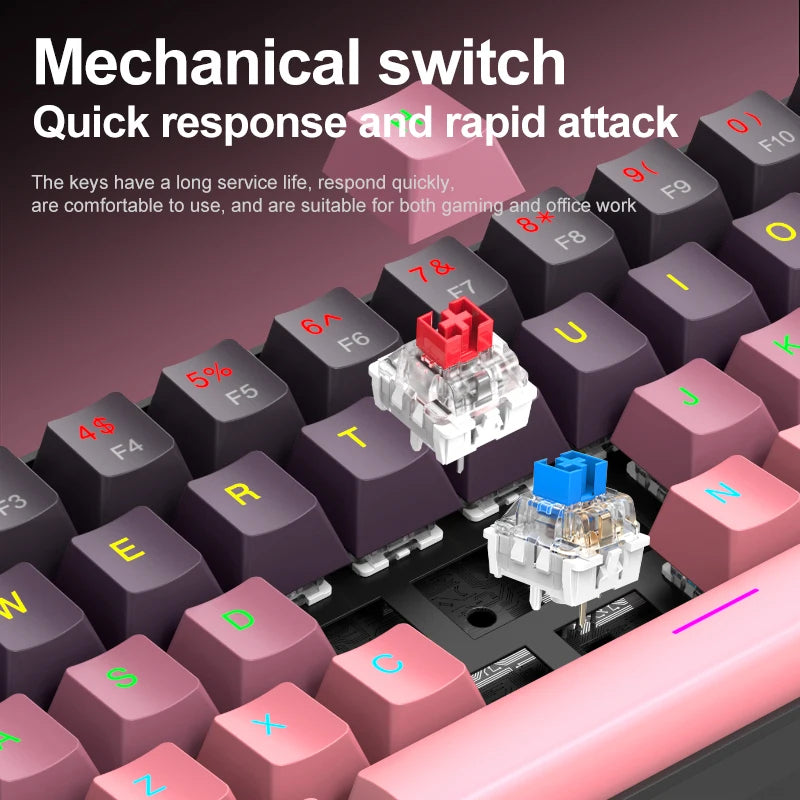 APAYADO K61 Mini Mechanical Keyboard, Wired, 61 Keys, Phantom RGB, Black/White Red/Blue Mechanical Switch for Gaming, 60% Portable