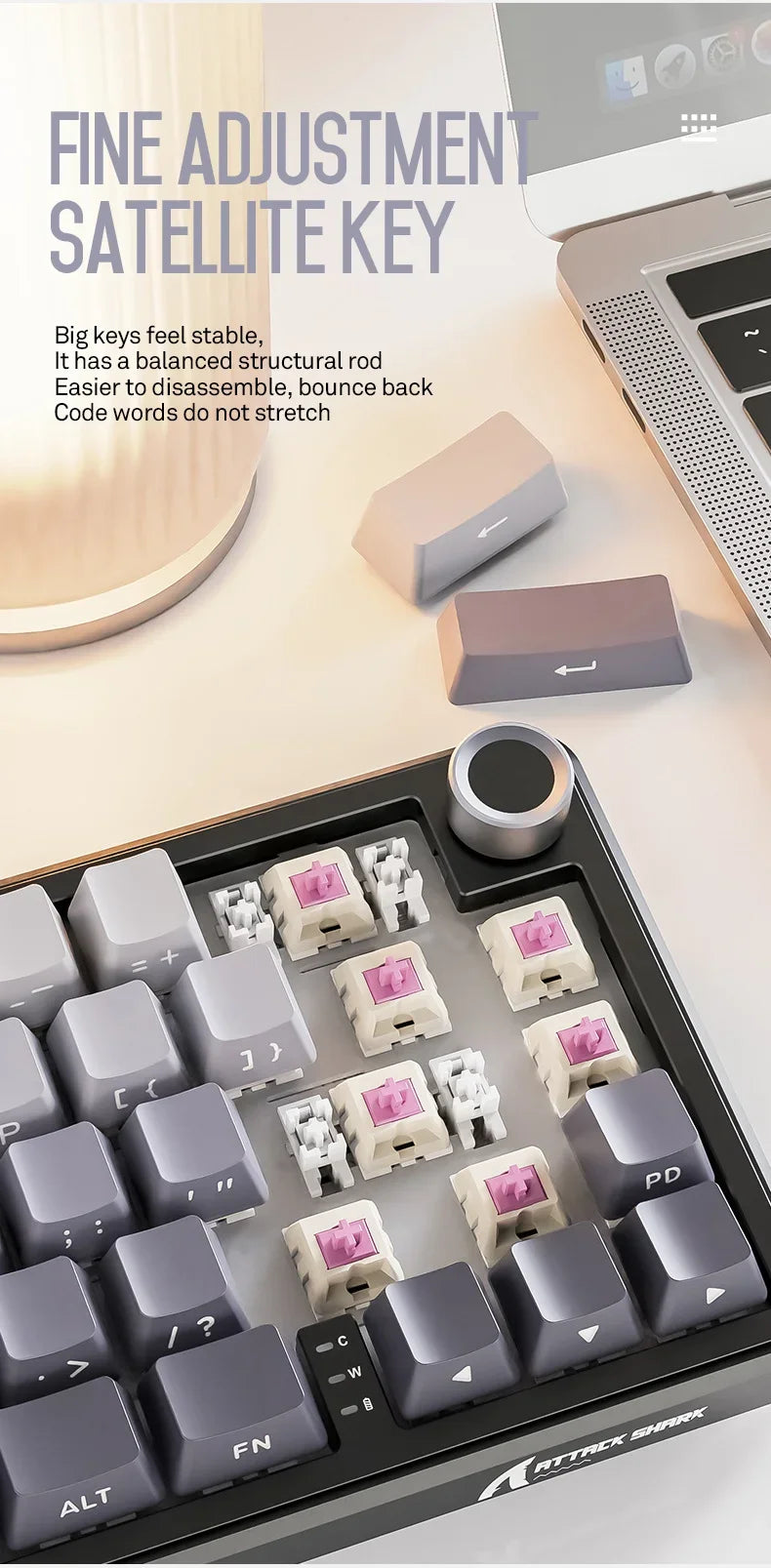 Attack Shark X66 Kabellose mechanische Tastatur 65% Kompaktlayout RGB-Hintergrundbeleuchtung Gasket Hot Swap Bluetooth USB-C PBT großer Akku