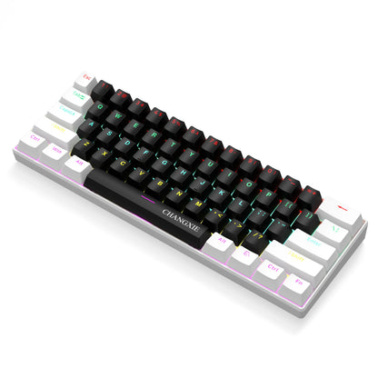 60% Compact Wired Mechanical Keyboard 61 Keys RGB Backlight Red Switch Ergonomic Small Portable for Office Computer Windows Tablet