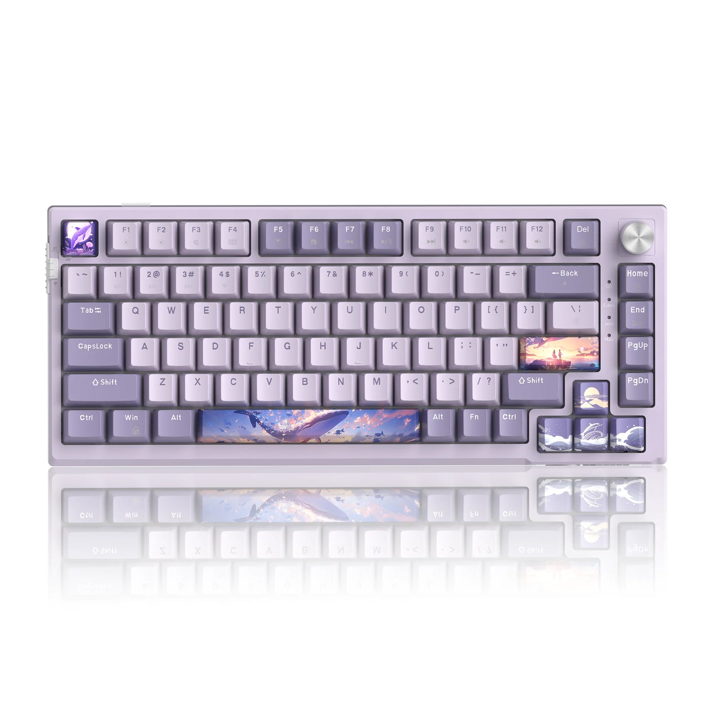 Teclado gaming mecânico MageGee SKY81 75%, RGB, gasket mount, hot-swappable, com fios, personalizável, som cremoso, amortecimento acústico e botão rotativo