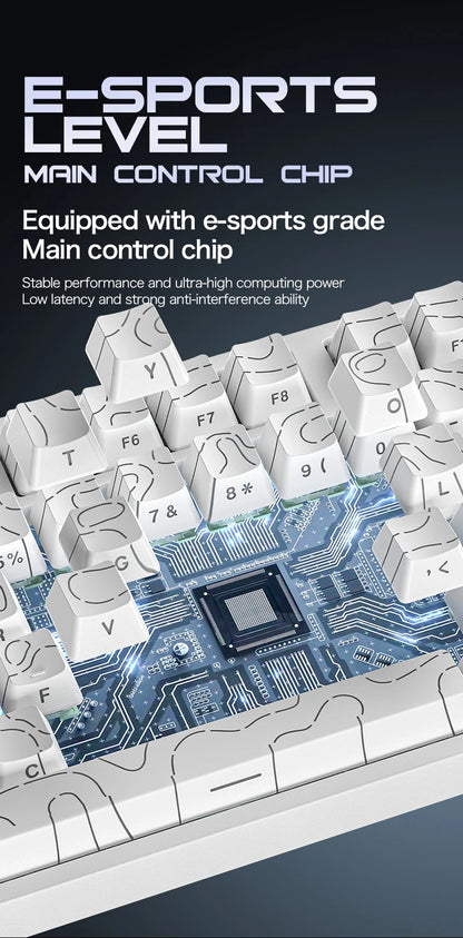 ATTACK SHARK R82 HE Teclado Magnético com Fio 75% RGB 8000Hz Rapid Trigger Atuação de 0.005mm Teclado Gaming