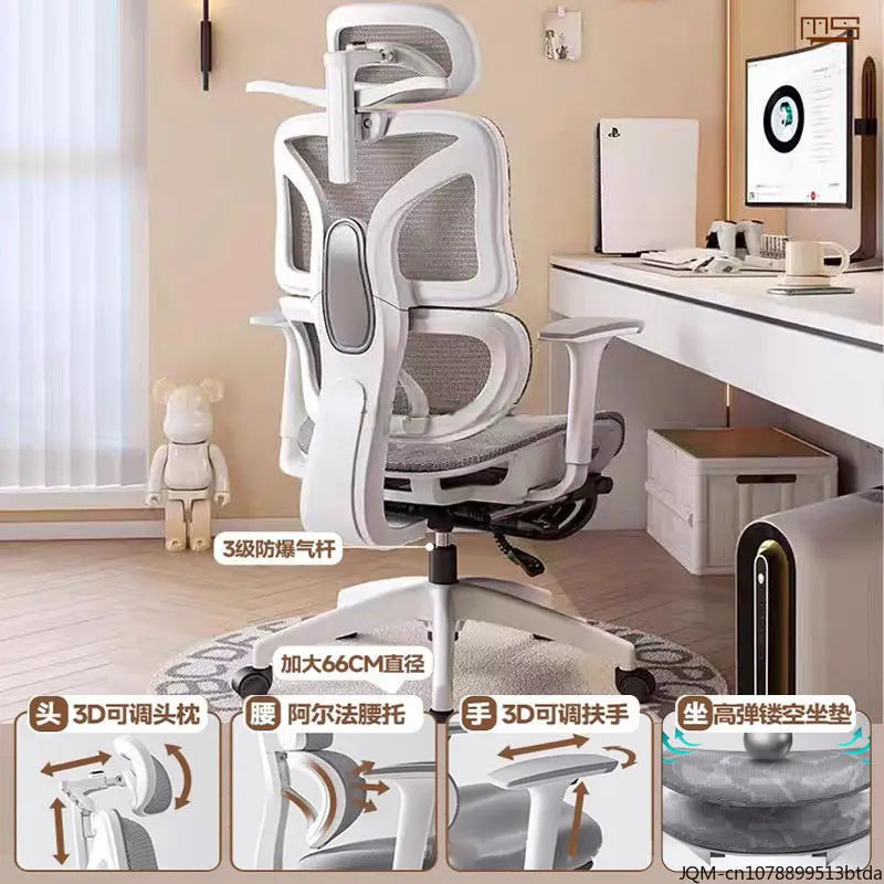 Comfortable Ergonomic Study Chair, Waist Support for Long Periods of Sitting, Lift Chair, Home Computer Swivel Office Chair