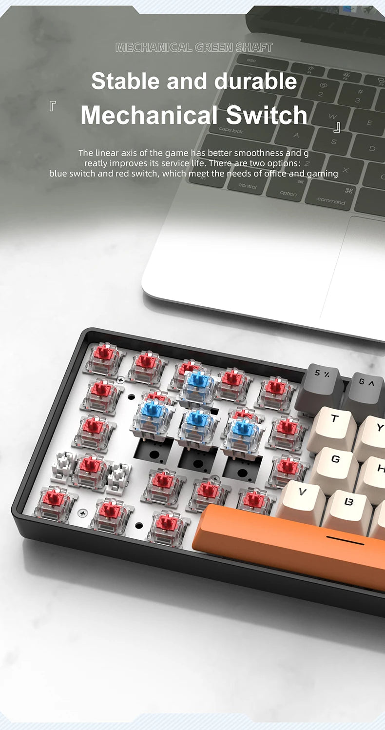 APAYADO K61 Mini Mechanical Keyboard, Wired, 61 Keys, Phantom RGB, Black/White Red/Blue Mechanical Switch for Gaming, 60% Portable