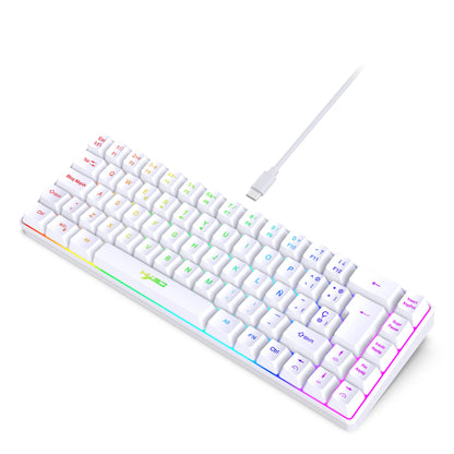 Hot Sale! Spanische kabelgebundene Gaming-Tastatur mit 69 Tasten und RGB-Hintergrundbeleuchtung, kompaktes 68%-Design, ein unverzichtbares Gadget für Büroangestellte und Gamer