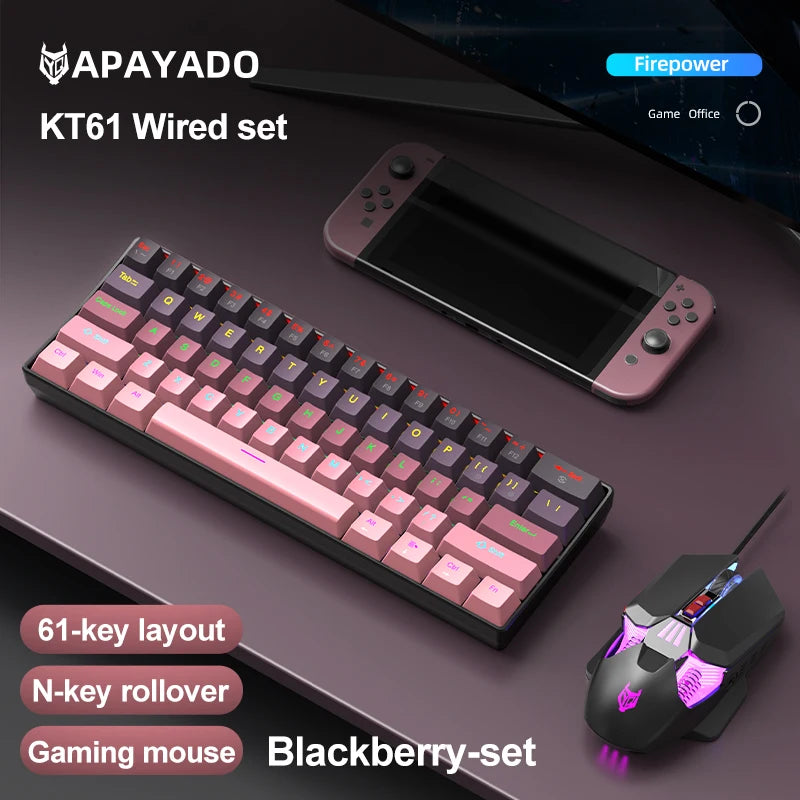 APAYADO K61 Mini Mechanical Keyboard, Wired, 61 Keys, Phantom RGB, Black/White Red/Blue Mechanical Switch for Gaming, 60% Portable