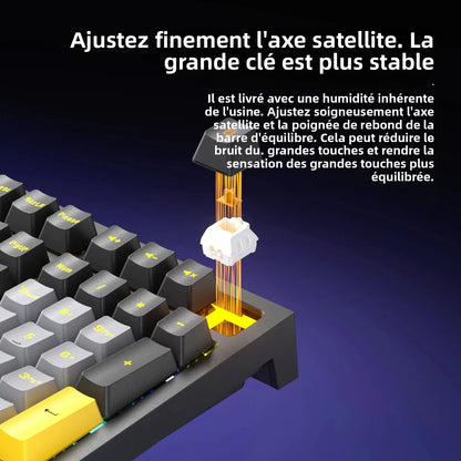 Teclado Gaming Mecânico com Fio de 108 Teclas e Retroiluminação RGB | Chip Gaming | Baixa Latência | Anti-Ghosting | para Jogadores de PC Win/Mac