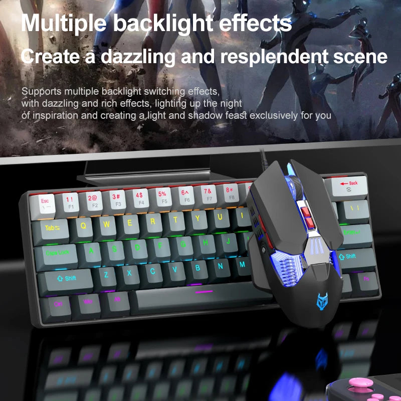 APAYADO K61 Mini Mechanical Keyboard, Wired, 61 Keys, Phantom RGB, Black/White Red/Blue Mechanical Switch for Gaming, 60% Portable